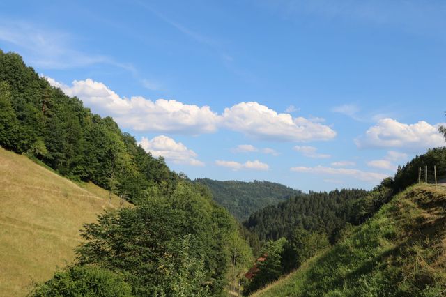 Sirenenanlagen für Mahlberg und Wolfach