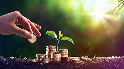 „Regionale Unternehmen sind Motoren für unsere Wirtschaft“ – Firmen Neumaier Industry GmbH und Schwarzwald Holzbausysteme GmbH in Förderlinie „Spitze auf dem Land“ aufgenommen